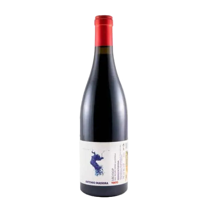 António Madeira Tinto 2021
