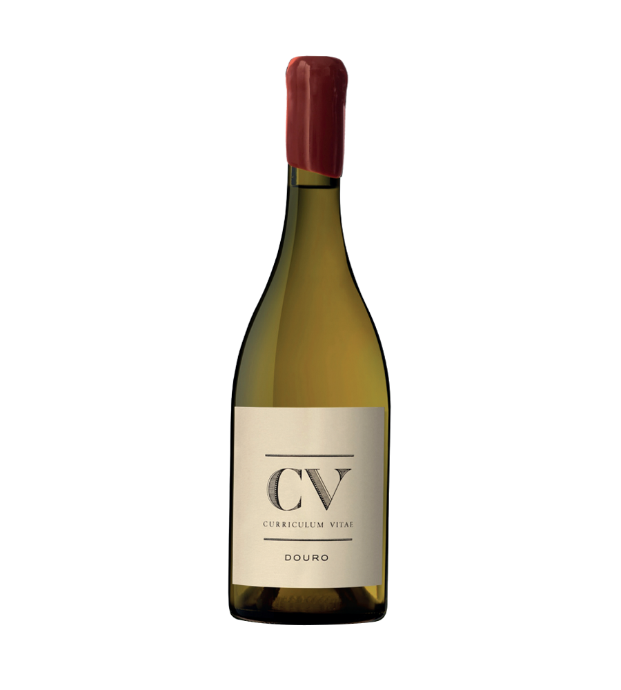 CV Curriculum Vitae Branco 2022 Douro