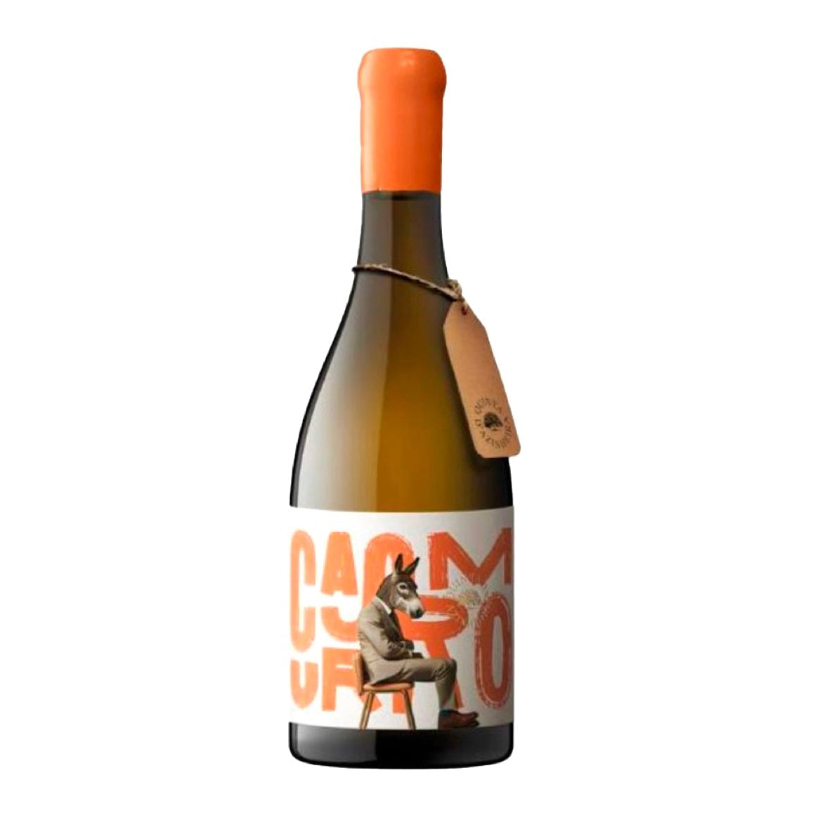 Casmurro Curtimenta Arinto Branco 2022 Douro