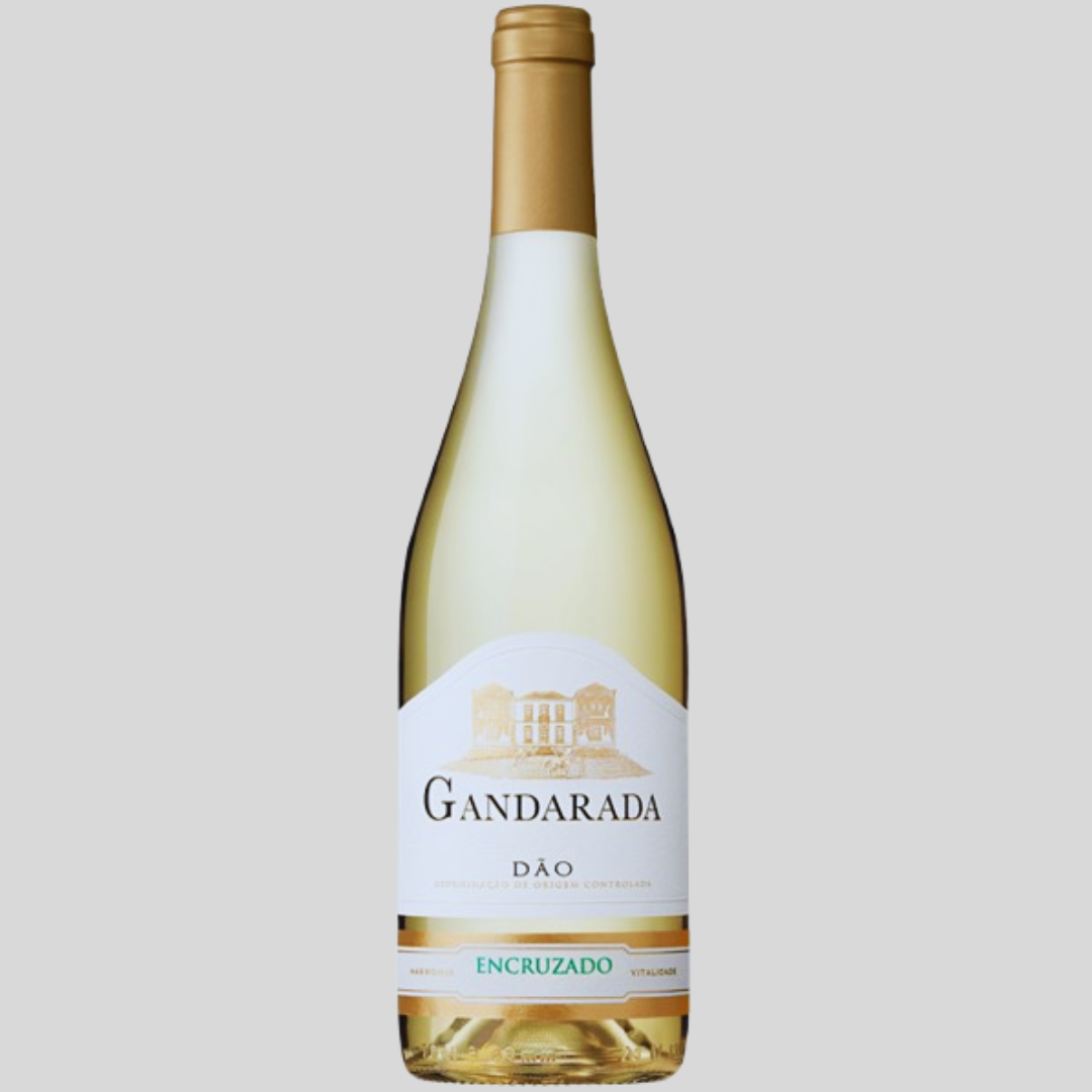 Gandarada Encruzado Branco 2023