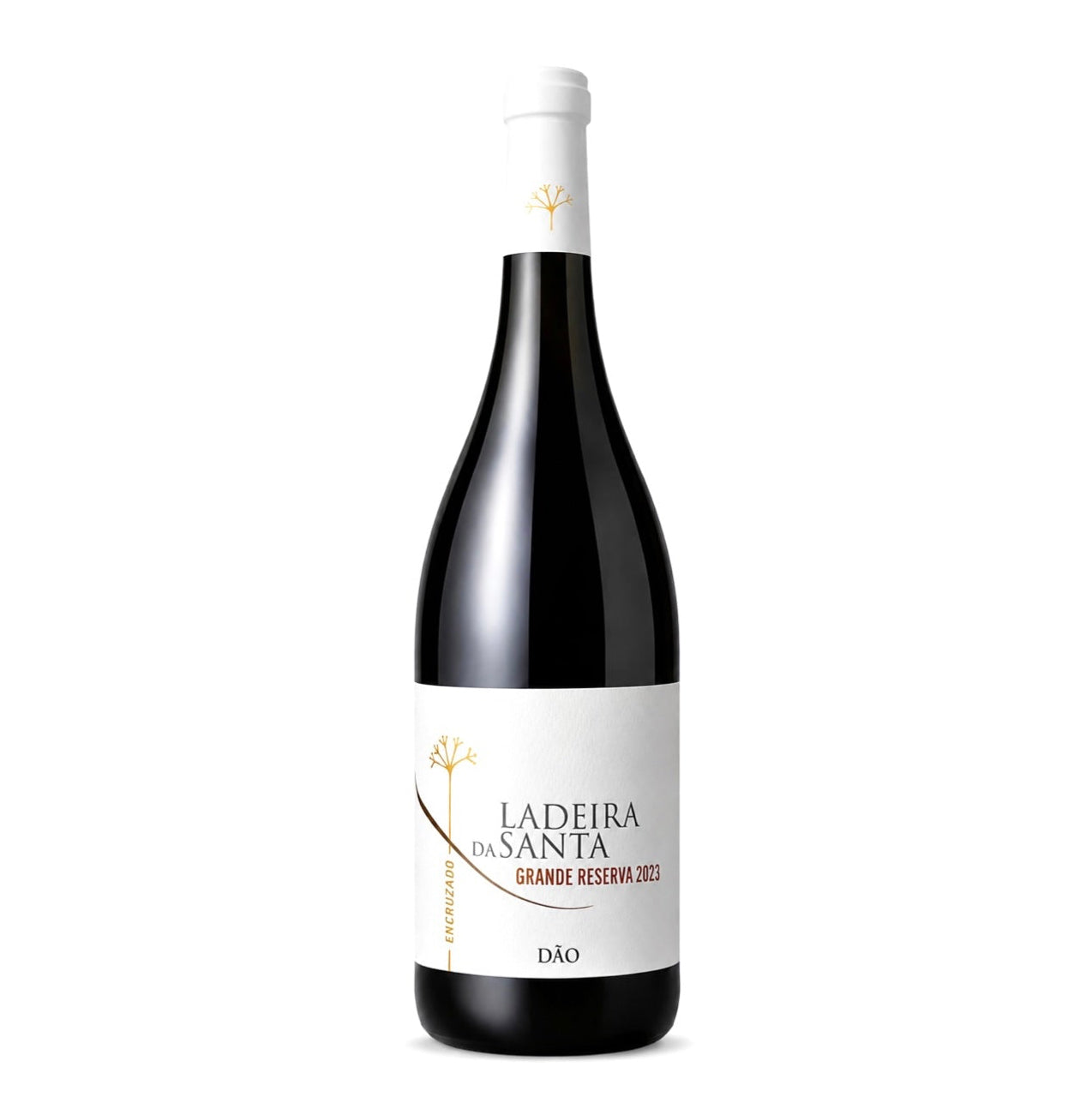 Ladeira da Santa Grande Reserva Encruzado Dão Amavinhos