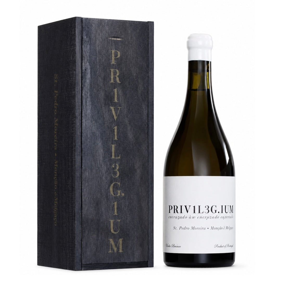 PR1V1L3G.1UM V. Verde Amavinhos previlegium 