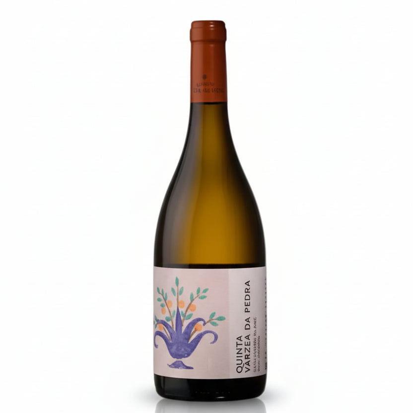 Quinta Várzea da Pedra Sauvignon Blanc 2020