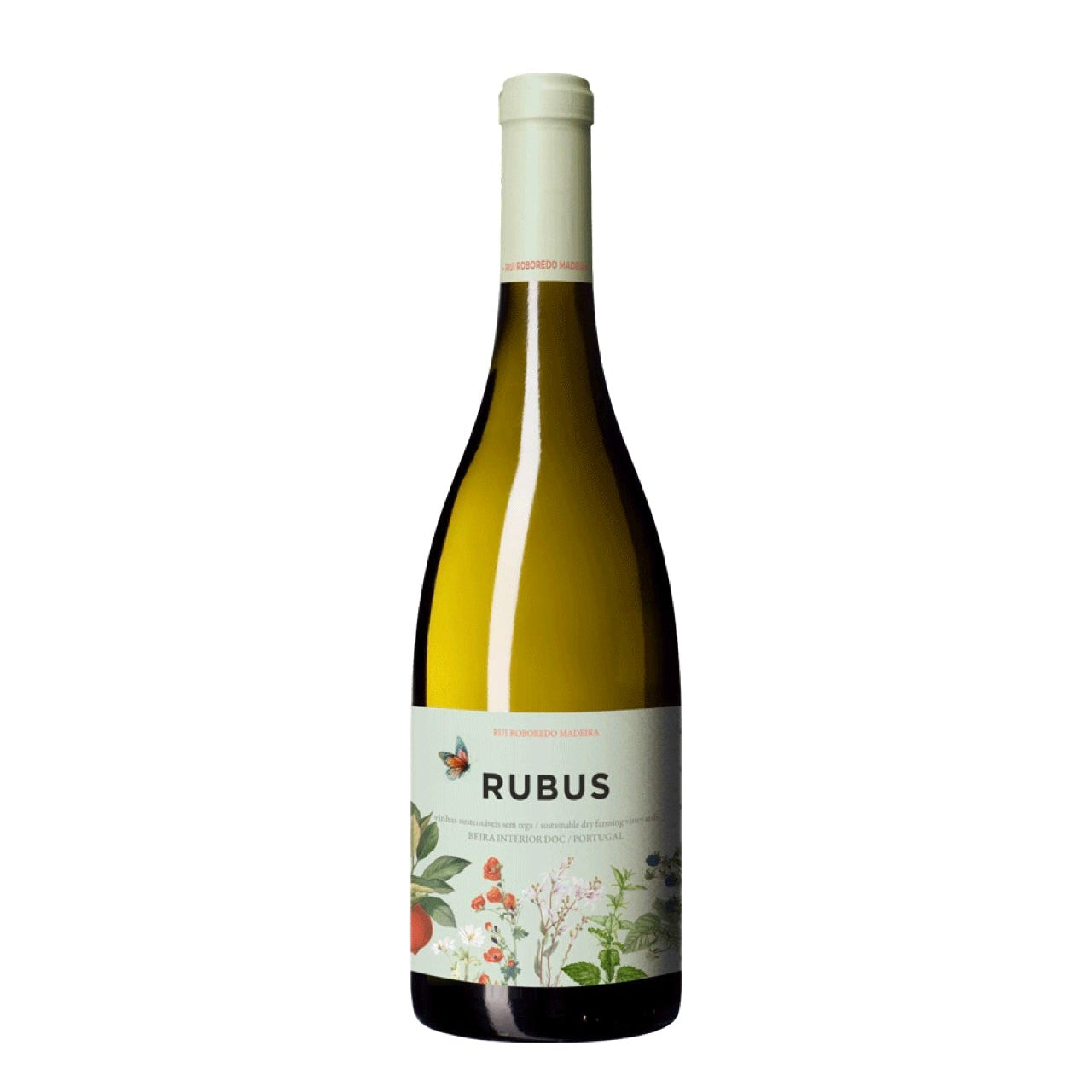 Rubus Branco 2024 Beira Interior