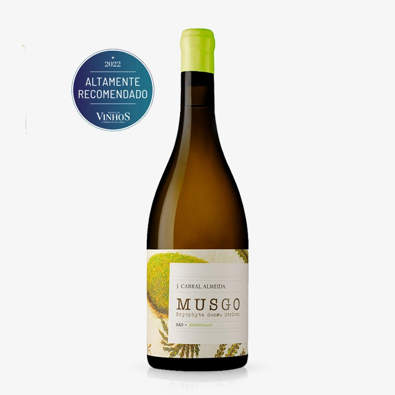 Musgo Encruzado Branco 2021