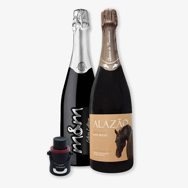 Paquete básico de accesorios 4