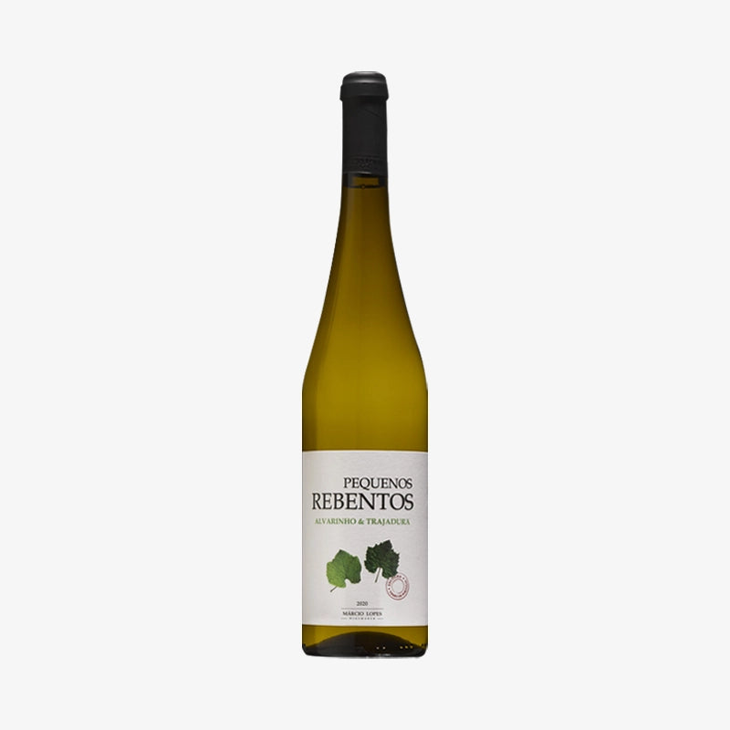 Small Shoots Alvarinho Trajadura 2022