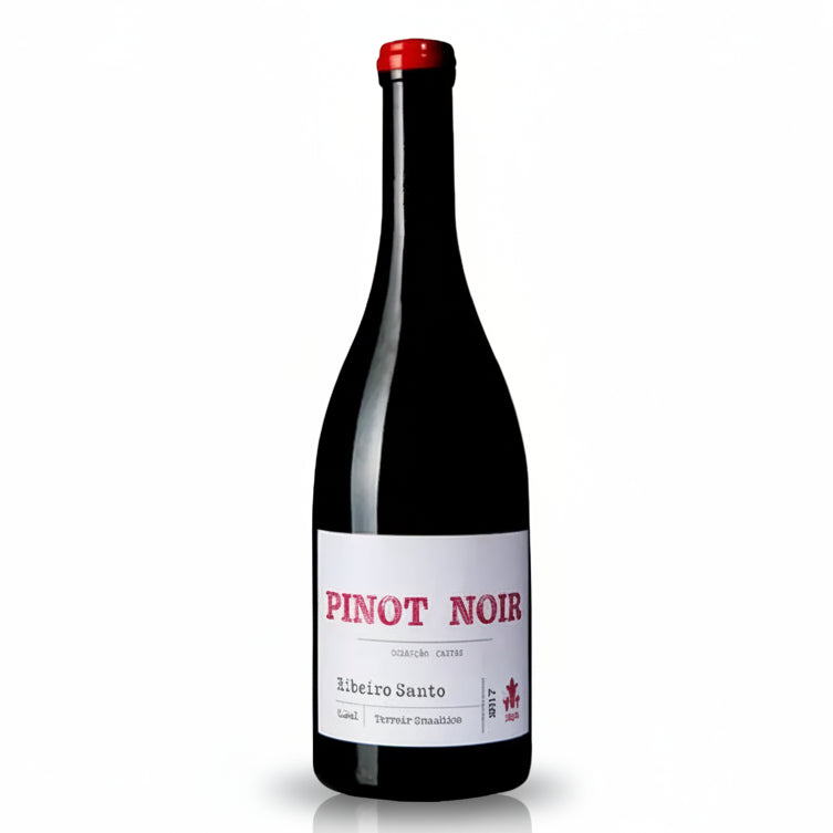Ribeiro Santo Pinot Noir Tinto 2017