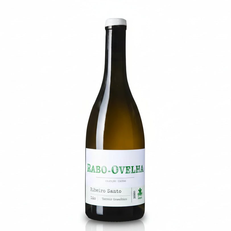 ribeiro-santo-rabo-de-ovelha Dao amavinhos