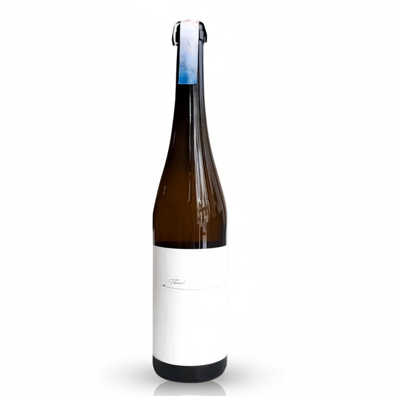 Gran tiburón blanco 2021